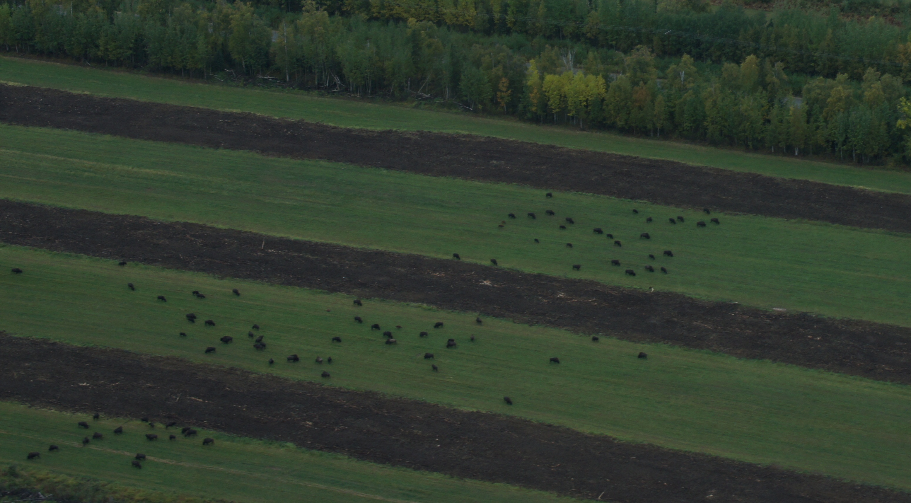 Click to return to the thumbnail index